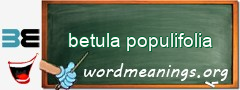 WordMeaning blackboard for betula populifolia